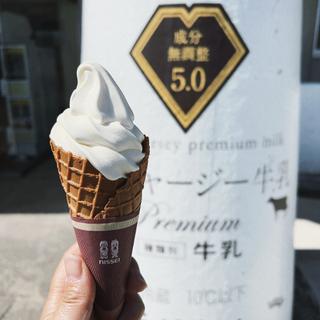 ソフトクリーム(蒜山酪農農協ひるぜんジャージーランド  )