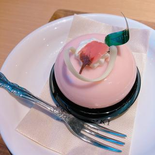 さくらのガトー(YATSUDOKI汐留日テレプラザ)