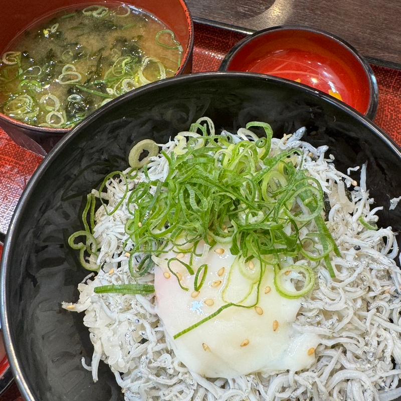 しらす丼(淡路サービスエリア 上り線 フードコート)