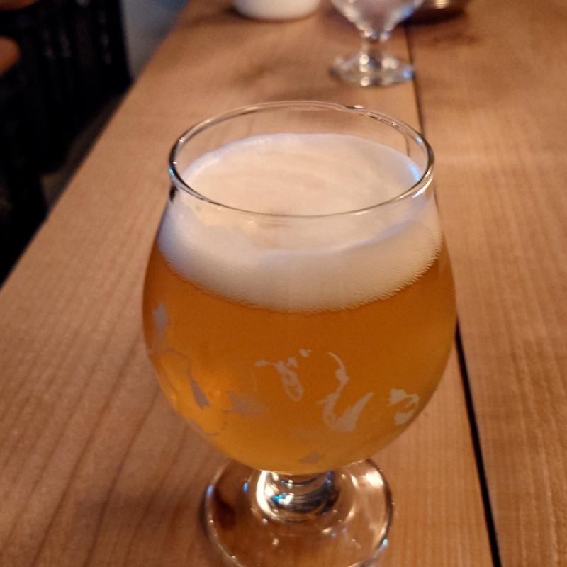 Pale Ale(PIRONO BEER)