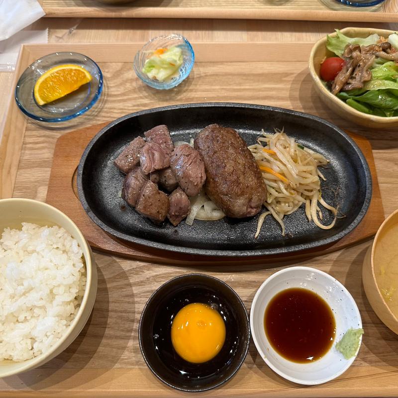 ハンバーグステーキcombo(ハンバーグ・ステーキ SOLMARE,s DINER)