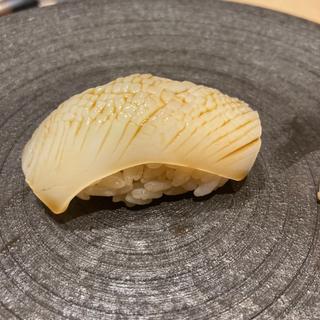 アオリイカ(すし奏)
