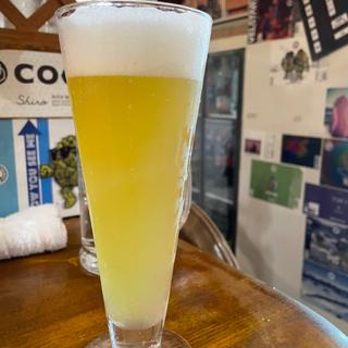 (ベクタービア(VECTORBEER)新宿御苑前駅店)