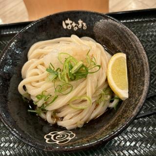 おろしぶっかけ　中(はなまるうどん 渋谷公園通り店)