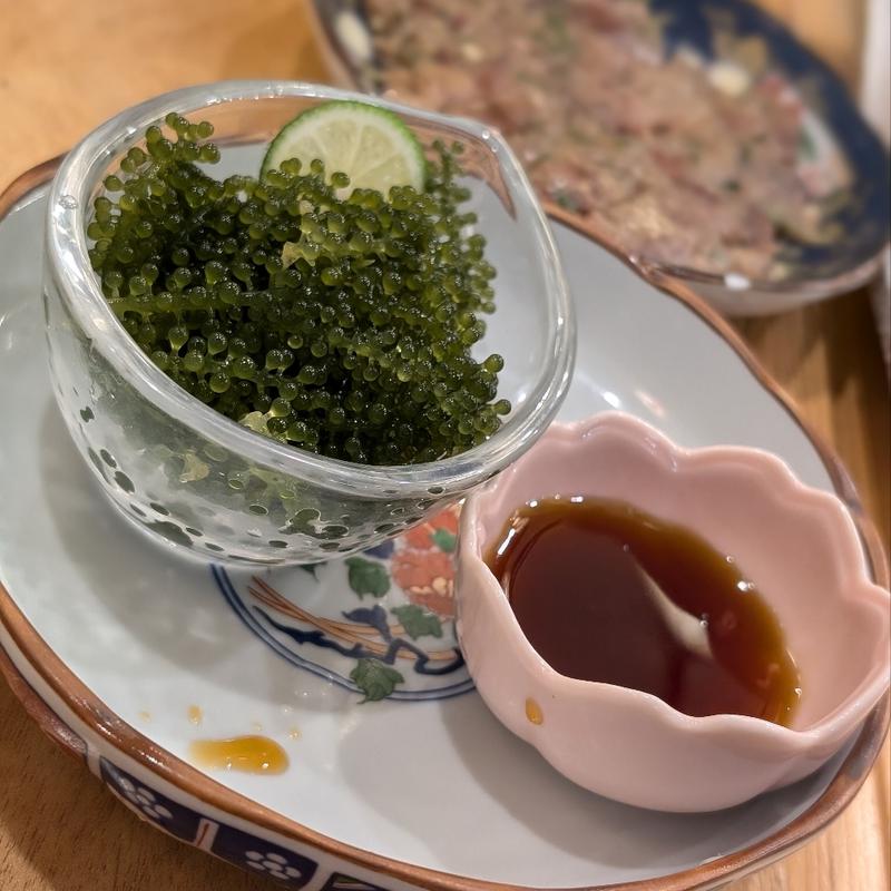 海ぶどう(横浜漁港)