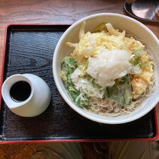 冷やし野菜天