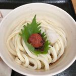 梅じそおろしぶっかけうどん