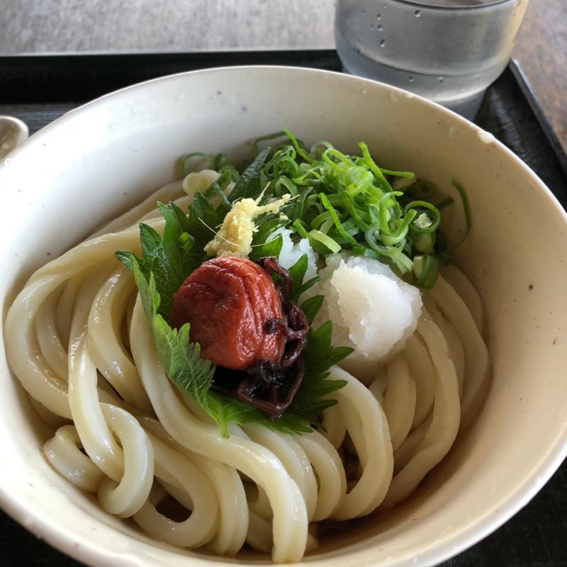 ぶっかけうどん【梅じそ・ネギ・生姜・大根おろし】(はな庄うどん)