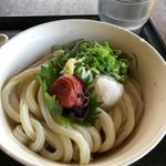ぶっかけうどん【梅じそ・ネギ・生姜・大根おろし】