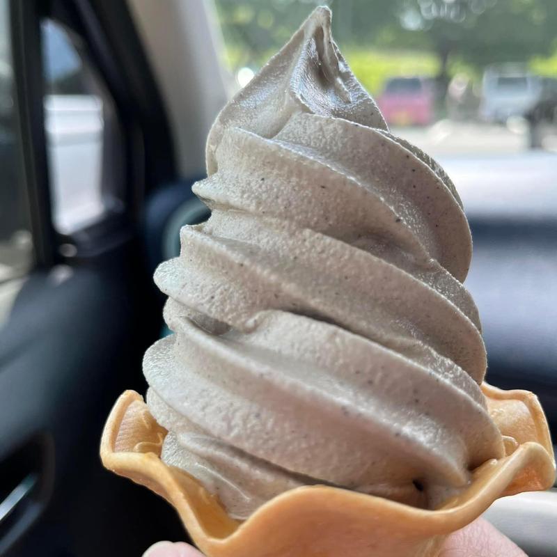 蕎麦のソフトクリーム(道の駅 東山道伊王野 物産センター)
