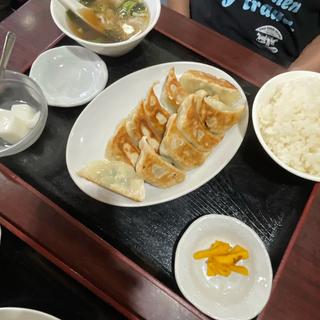 餃子定食(向陽飯店 戸塚店)