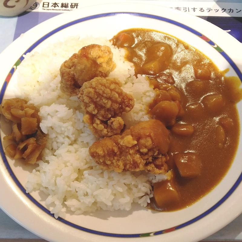 唐揚げカレー(東京科学大学つばめ生協すずかけ台食堂)