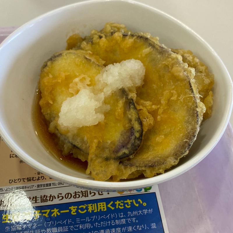 揚げ出し茄子(ビッグさんど)