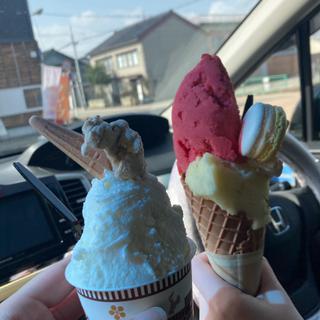 (戸出ジェラート （戸出町観光案内所）)