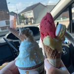 (戸出ジェラート （戸出町観光案内所）)