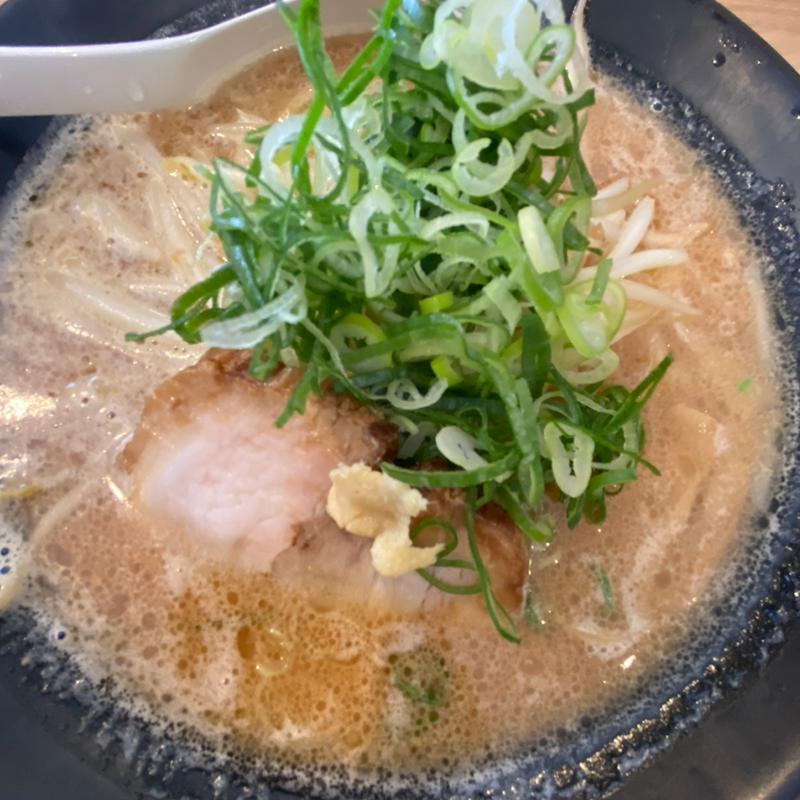 濃厚魚介特製ラーメン(麺処 ほん田)