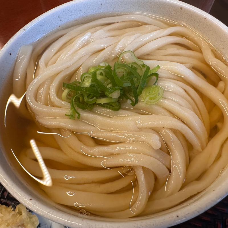 ひやあつ特大(うどん たかしま)
