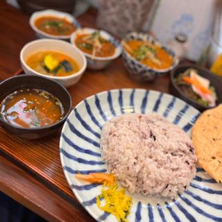 チキンカレー定食（カレー小鉢追加:ポークビンダルー・鰯のつみれカレー）(深川インド月と亀)