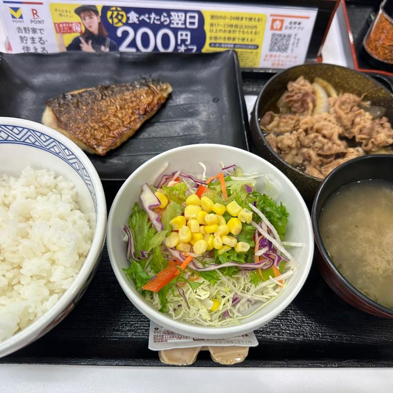 牛さば定食野菜サラダ(吉野家 新４号線上三川店 )