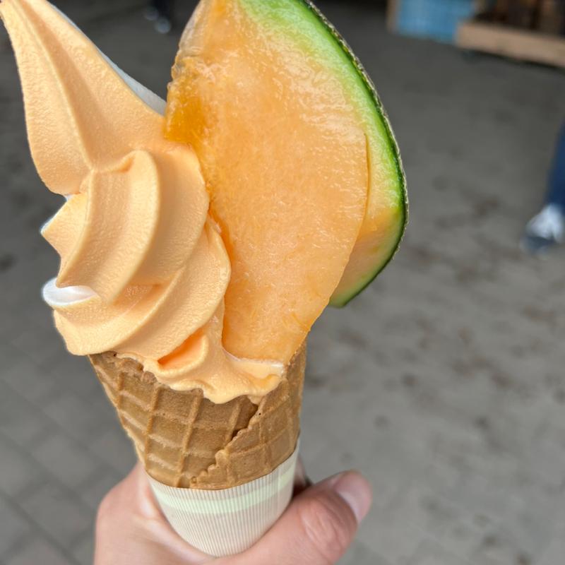 メロンソフトクリーム（果肉入）(サングリーン旭 )