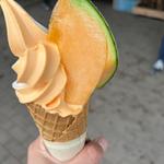メロンソフトクリーム（果肉入）(サングリーン旭 )