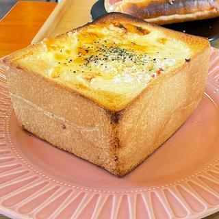 (T-bear cafe)