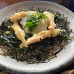 ぶっかけ小エビ天そば(乃なか)
