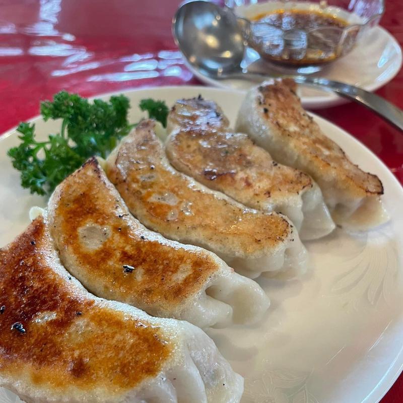 手作り焼き餃子(中国料理 宝山)