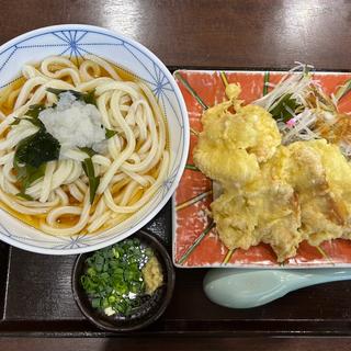 鶏天うどん(文ちゃんうどん )