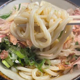 冷やしぶっかけうどん 特盛(讃岐ブルース 飯田橋)