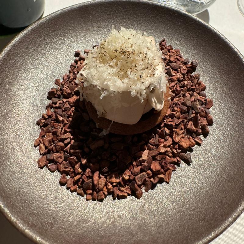 マッシュルーム(TexturA (テクストゥーラ))