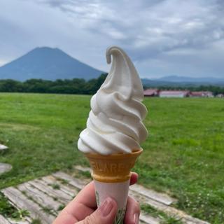 ソフトクリーム(ニセコミルク工房 高橋牧場)