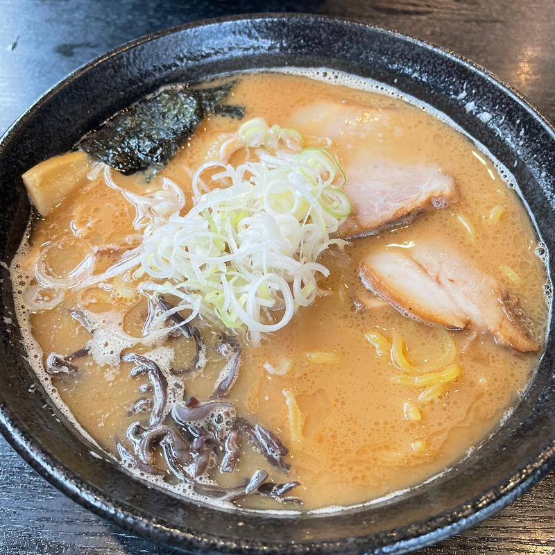 魚介濃厚パンチ(醤油)(そめいよしの 東苗穂店)