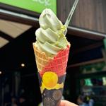 プレミアムわさびソフトクリーム(大王わさび農場)