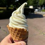 牧場ソフトクリーム