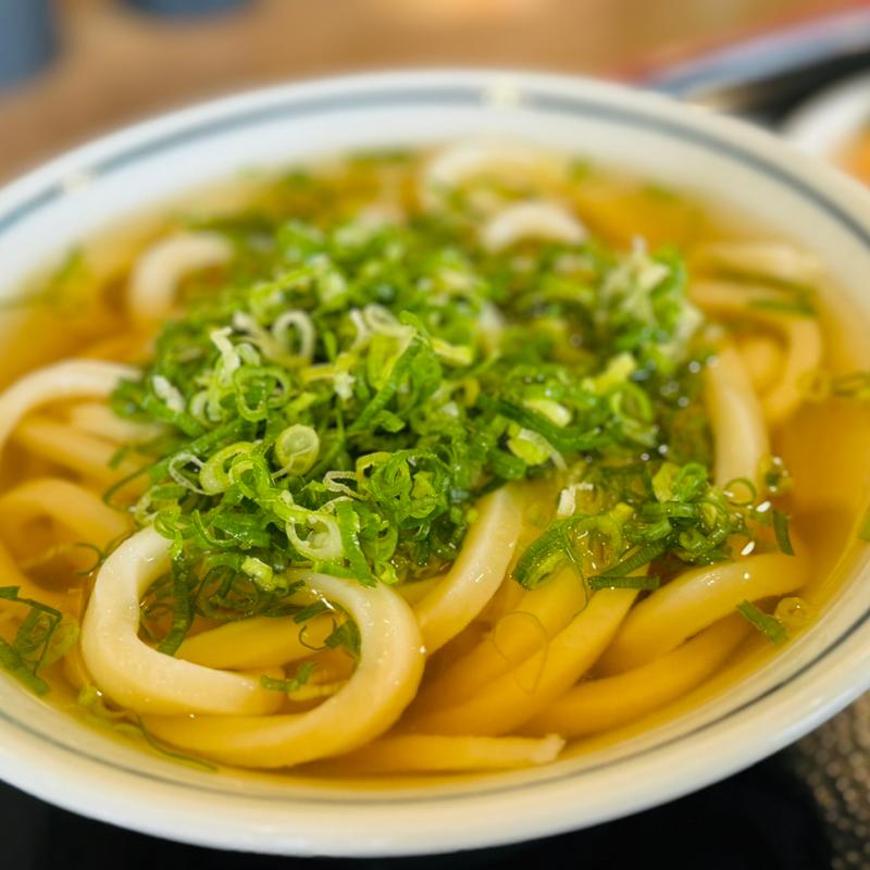 かけうどん中(うどん村 辰巳店 )