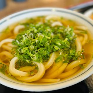 かけうどん中(うどん村 辰巳店 )