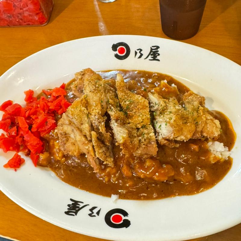 パリパリチキンカレー(日乃屋カレー 新橋航空会館店 )