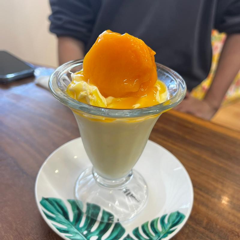 マンゴー(マンゴーの森)