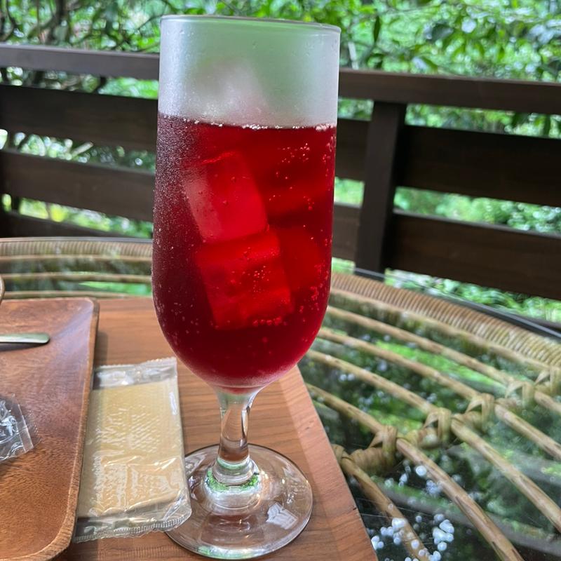 ザクロジュース(cocoai 大和高原店)