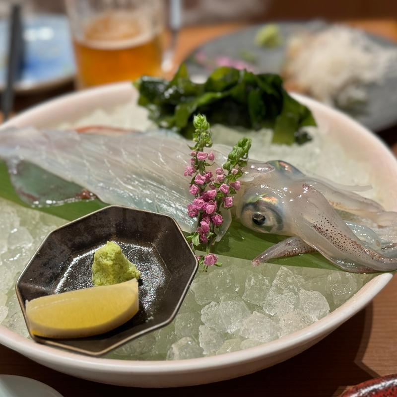 イカ刺身 時価(博多もつ鍋 前田屋 総本店)