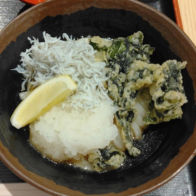 しらすぶっけけうどん(小)(本場さぬきうどん めりけんや 武蔵小杉店)