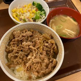 牛丼ランチセット(すき家 グリナード永山店  )