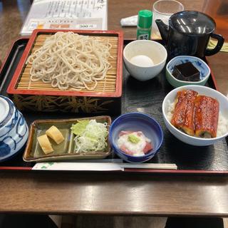 ミニ鰻丼（マグロ山かけ付き）と冷たい蕎麦(長寿庵 南桜井店 )