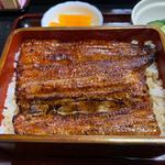 うな重 松（1尾分）