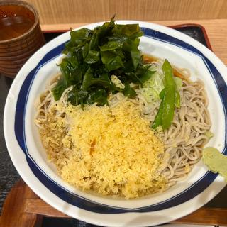 冷したぬきそば＋ワカメ(そば処 信州屋)