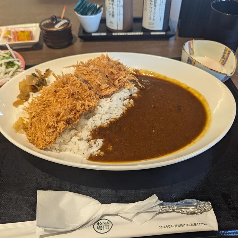 かつカレー温玉付き(平田牧場 鶴岡店)