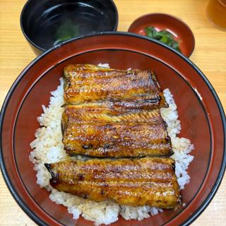 うな丼(うな正)