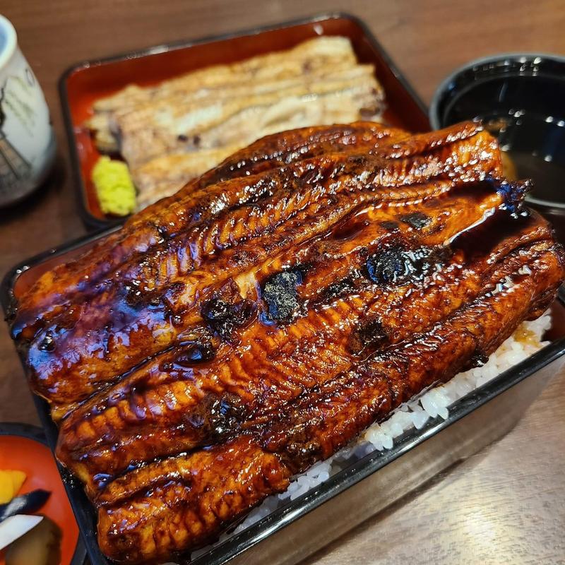 うな重 特上 ご飯大盛り(川魚 根本)