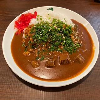 ビーフカレー　青ネギトッピング　激辛(マウンテンカレー)